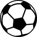 凤元卉